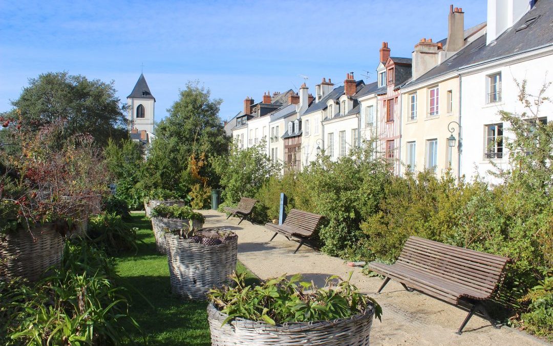 A vos agendas ! les instances 2022 sont planifiées :